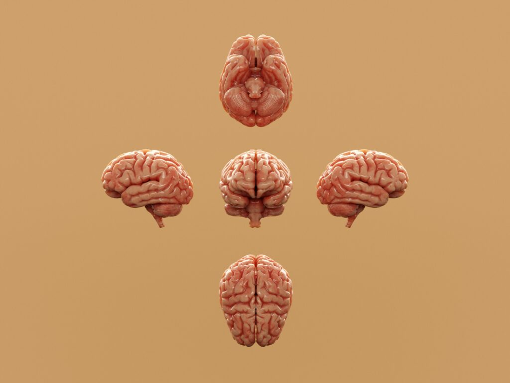 Alzheimer's Begins 20 Years Before Symptoms aakash dhage vd jlio94wo unsplash